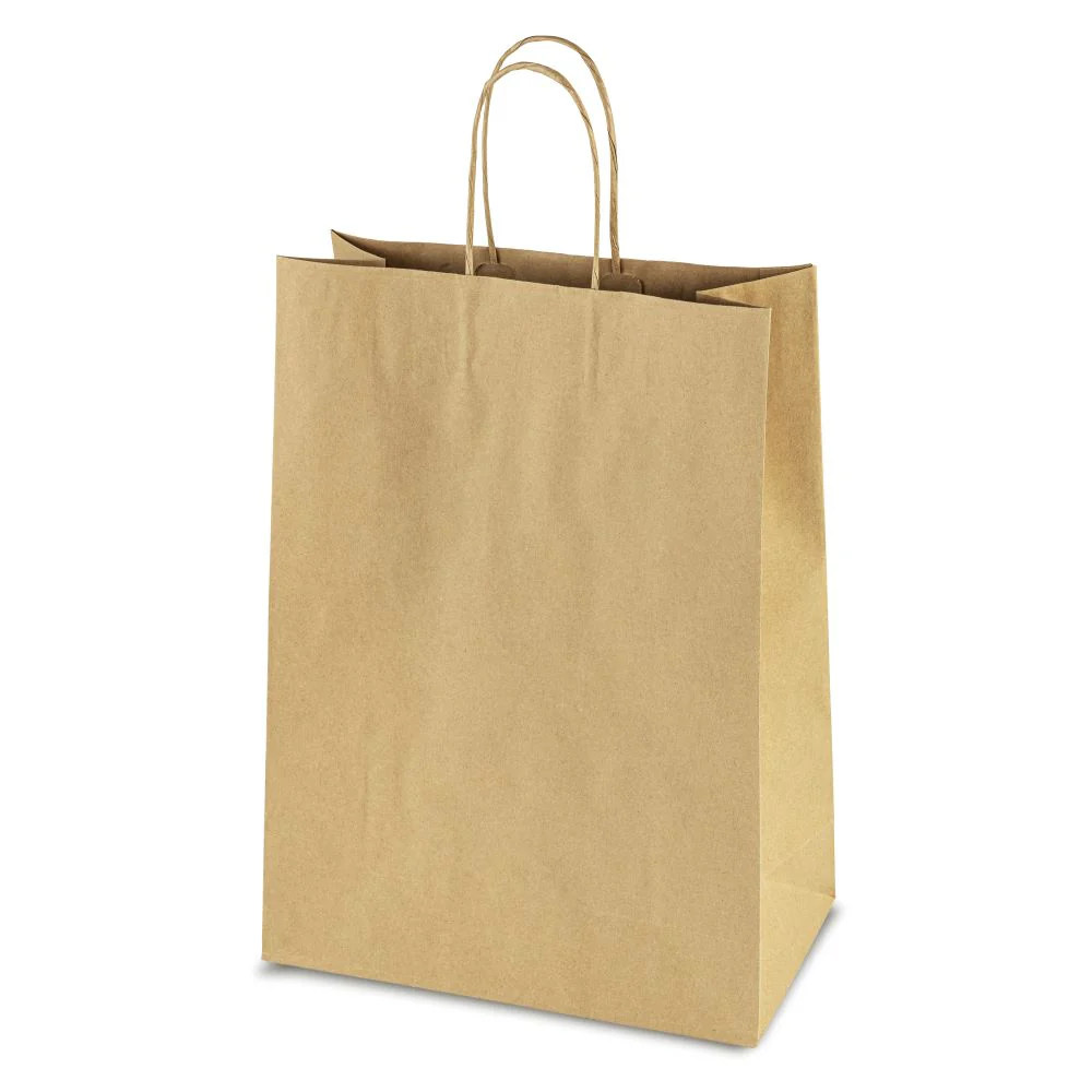 Tugevad kraft paberkotid 100g 18x8x22cm